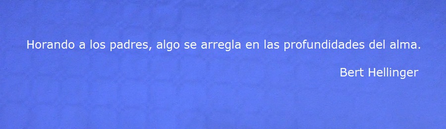 MÓDULO 04 El sistema actual: los hijos - Constela